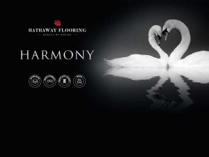 Harmony