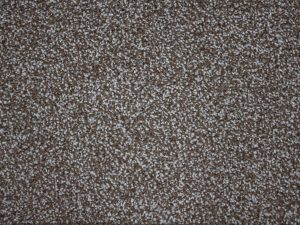 Cheshire Saxony - Chestnut