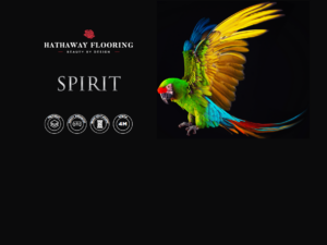 Spirit